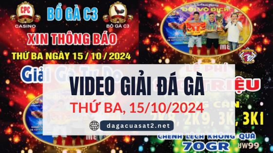 Video Đá Gà Thomo Ngày 15/10/2024 (CPC3/ CPC1)