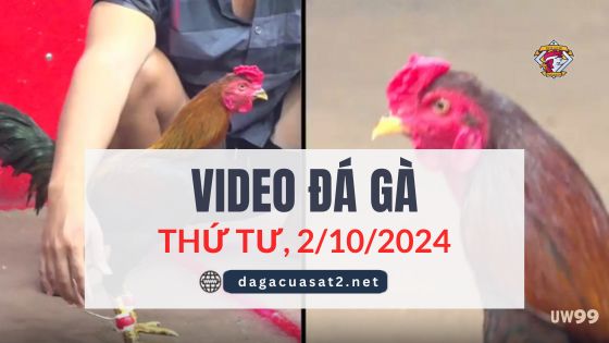 Clip Đá Gà Campuchia Ngày 2/10/2024 (CPC2/CPC3)
