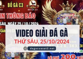 Clip Đá Gà Campuchia Ngày 25/10/2024 (CPC2/CPC3)