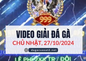 Clip Đá Gà Campuchia Ngày 27/10/2024 (CPC2/CPC3)