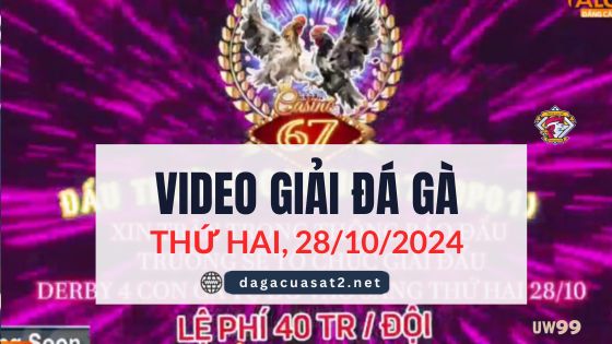 Video Đá Gà Thomo Ngày 28/10/2024 (CPC3/ CPC1)