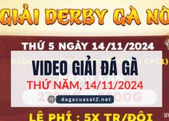 giai ga cpc1 14-11-2024 (1)