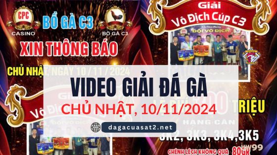 Clip Đá Gà Campuchia Ngày 10/11/2024 (CPC2/CPC3)