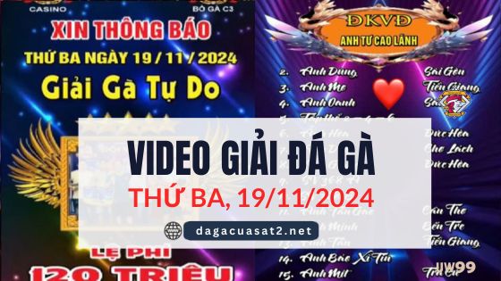 Video Đá Gà Thomo Ngày 19/11/2024 (CPC3/ CPC4)