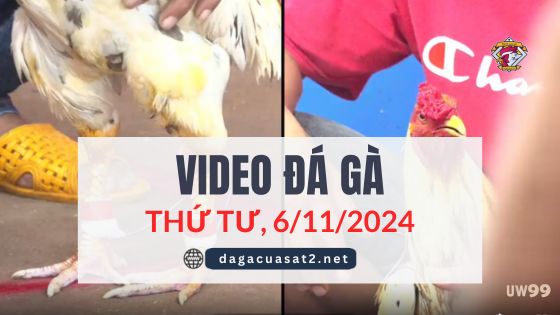 Clip Đá Gà Campuchia Ngày 6/11/2024 (CPC2/CPC3)